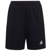 adidas-shorts-pantalons-entrada-22-training