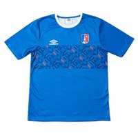 umbro-france-chest-panel-world-cup-2022-short-sleeve-t-shirt